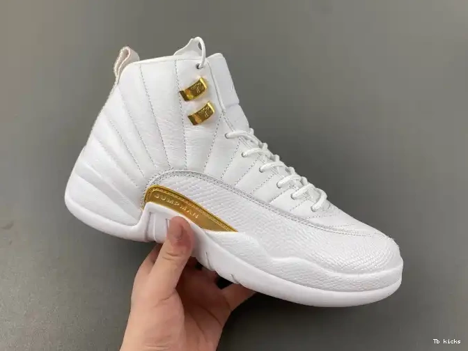 Reps TBK 12 FD9101-007 Air Jordan Phantom WMNS 0506